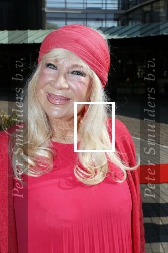Amsterdam 8 april 2019
Strong women award in het Apollo Hotel. Mary Borsato