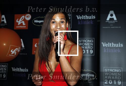 Amsterdam 8 april 2019
Strong women award in het Apollo Hotel. Nathalie Sabeel