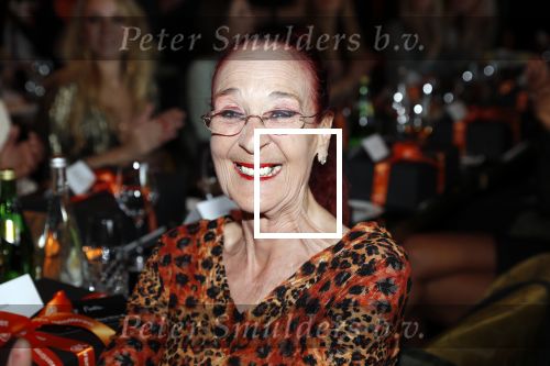 Amsterdam 8 april 2019
Strong women award in het Apollo Hotel. Noble
