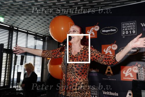 Amsterdam 8 april 2019
Strong women award in het Apollo Hotel. Noble