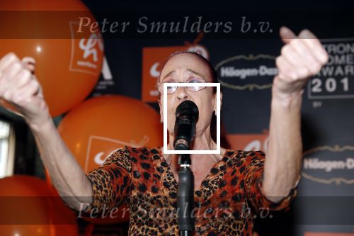 Amsterdam 8 april 2019
Strong women award in het Apollo Hotel. Noble