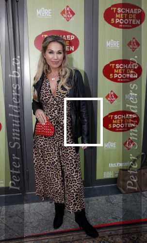Amsterdam 14 april 2019
Premiere van t schaep met de 5 poten in het deLamar theater. Tanja Jess en Chimene van Oosterhout