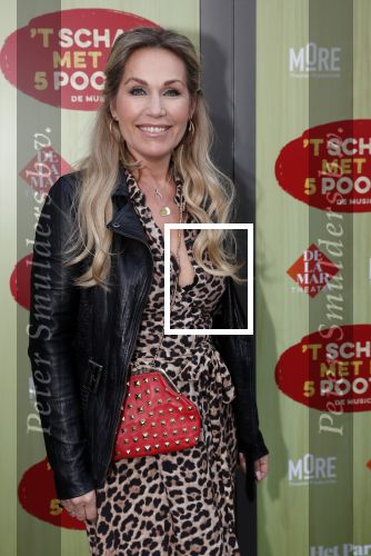 Amsterdam 14 april 2019
Premiere van t schaep met de 5 poten in het deLamar theater. Tanja Jess en Chimene van Oosterhout