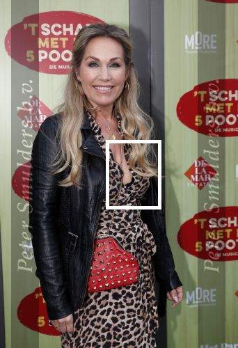 Amsterdam 14 april 2019
Premiere van t schaep met de 5 poten in het deLamar theater. Tanja Jess en Chimene van Oosterhout
