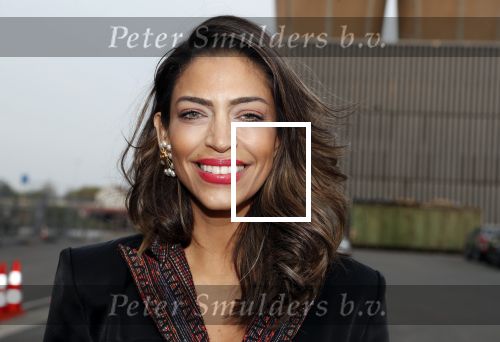 Halfweg 16 april 2019
50 jaar Rob Peetoom in the sugar factory. Touriya Haoud