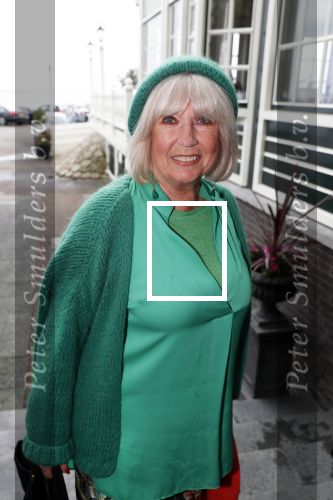 Volendam 6 mei 2019
10 jaar magazine 100%NL bij hotel Spaander. Willeke Alberti