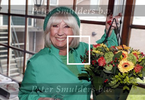 Volendam 6 mei 2019
10 jaar magazine 100%NL bij hotel Spaander. Willeke Alberti