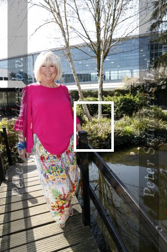 Amsterdam 8 april 2019
Strong women award in het Apollo Hotel. Willeke Alberti