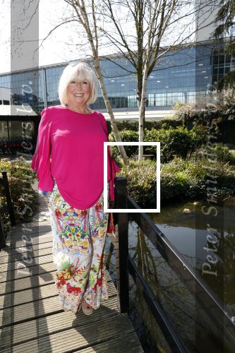 Amsterdam 8 april 2019
Strong women award in het Apollo Hotel. Willeke Alberti