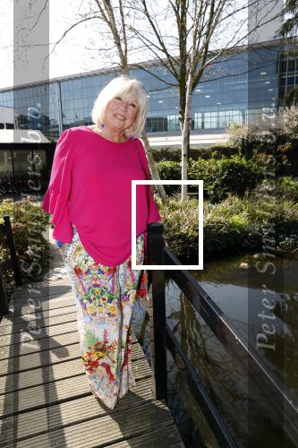 Amsterdam 8 april 2019
Strong women award in het Apollo Hotel. Willeke Alberti