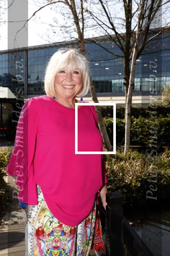 Amsterdam 8 april 2019
Strong women award in het Apollo Hotel. Willeke Alberti