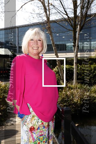 Amsterdam 8 april 2019
Strong women award in het Apollo Hotel. Willeke Alberti