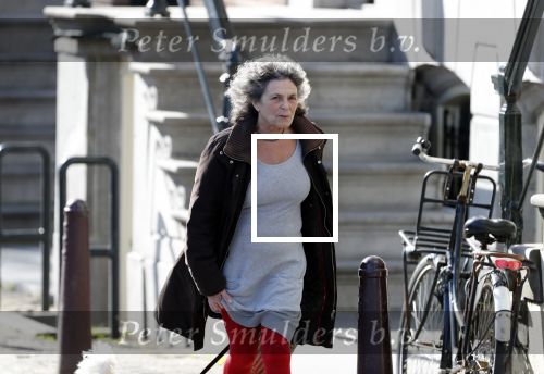 Amsterdam 1 april 2019
Yvonne Kroonenberg wandelen met haar hondje op de utrechtsestraat.