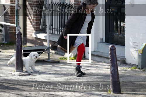 Amsterdam 1 april 2019
Yvonne Kroonenberg wandelen met haar hondje op de utrechtsestraat.