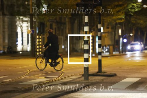 Amsterdam 28 april 2020
De opnames van Eva Jinek zijn in de plantage bij artis.
Beau v Erven Dorens