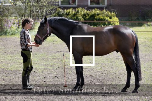 Tynaarlo 16 april 2020
Boerin Annemiek van boer zoekt vrouw .
