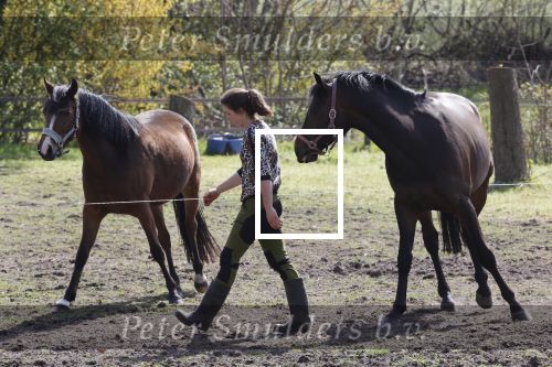 Tynaarlo 16 april 2020
Boerin Annemiek van boer zoekt vrouw .