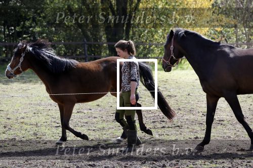 Tynaarlo 16 april 2020
Boerin Annemiek van boer zoekt vrouw .