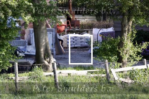 Warder 30 april 2020
Michiel Huisman en zijn vrouw Tara Elders zijn hun huis / boerderij aan het verbouwen