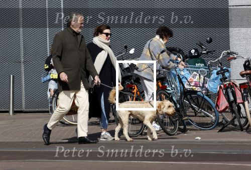 Amsterdam 1 april 2021
Bert Kuizenga en zijn vrouw met de hond aan het wandelen