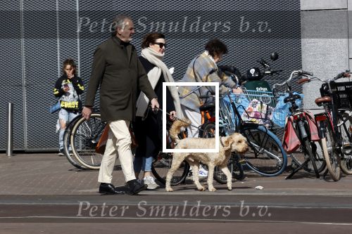 Amsterdam 1 april 2021
Bert Kuizenga en zijn vrouw met de hond aan het wandelen