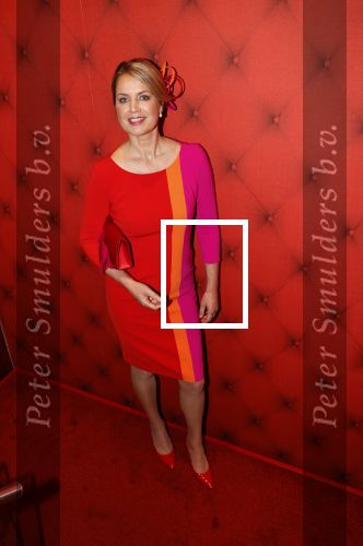 Amsterdam 30 april 2021
Koningin Maxima Look a like Cathelijne Schrauwen voor reportage in story met medewweking van Paul Schulten . Shoot vond plaats in het Andaz hotel