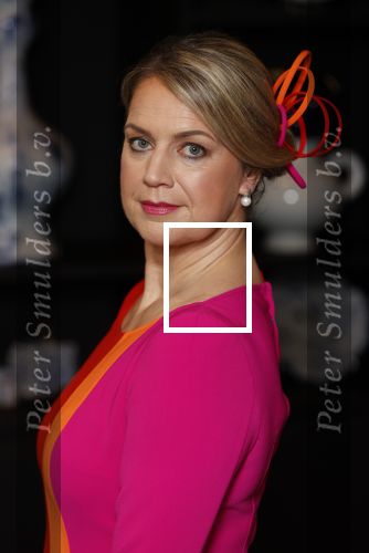 Amsterdam 30 april 2021
Koningin Maxima Look a like Cathelijne Schrauwen voor reportage in story met medewweking van Paul Schulten . Shoot vond plaats in het Andaz hotel