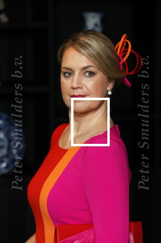 Amsterdam 30 april 2021
Koningin Maxima Look a like Cathelijne Schrauwen voor reportage in story met medewweking van Paul Schulten . Shoot vond plaats in het Andaz hotel