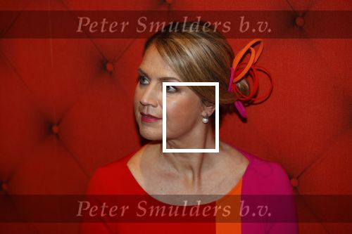 Amsterdam 30 april 2021
Koningin Maxima Look a like Cathelijne Schrauwen voor reportage in story met medewweking van Paul Schulten . Shoot vond plaats in het Andaz hotel