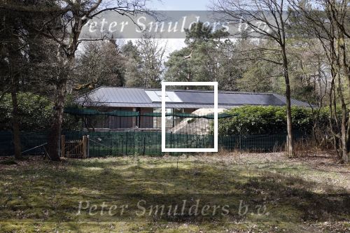 Hizen 13 april 2021
Huis van Doutzen Kroes en Sunnery James in aanbouw