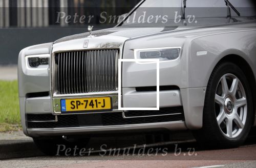 Amsterdam 10 april 2021
Gerard spong en partner laten hond uit alvorens weer in hun rolls royce te stappen