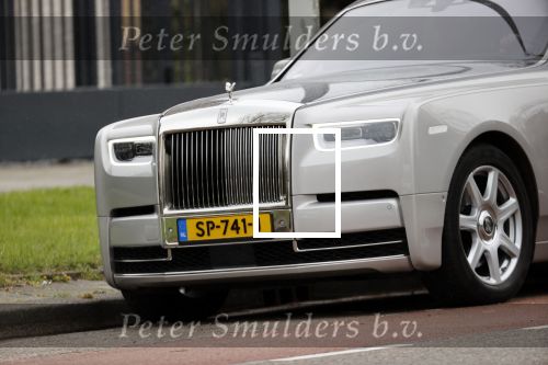 Amsterdam 10 april 2021
Gerard spong en partner laten hond uit alvorens weer in hun rolls royce te stappen
