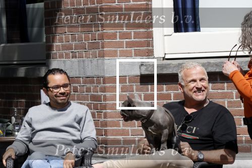 Amsterdam 12 mei 2021
Gordon met zijn hondje Toto op terras bij Blushing in Amsterdam .
