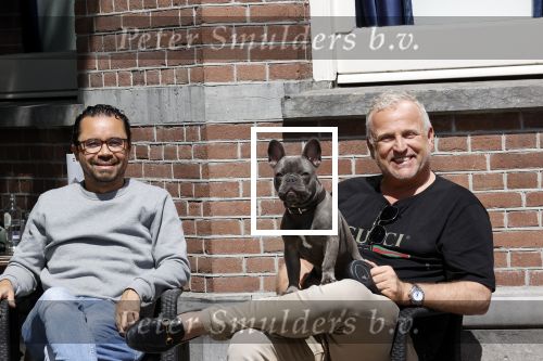Amsterdam 12 mei 2021
Gordon met zijn hondje Toto op terras bij Blushing in Amsterdam .