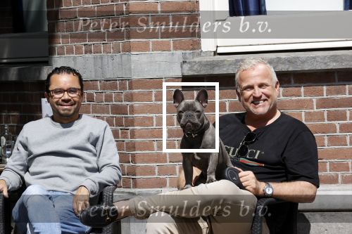 Amsterdam 12 mei 2021
Gordon met zijn hondje Toto op terras bij Blushing in Amsterdam .
