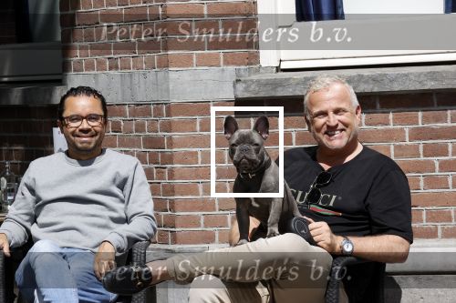 Amsterdam 12 mei 2021
Gordon met zijn hondje Toto op terras bij Blushing in Amsterdam .
