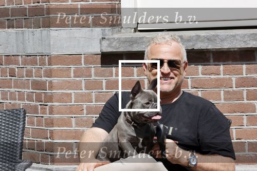Amsterdam 12 mei 2021
Gordon met zijn hondje Toto op terras bij Blushing in Amsterdam .