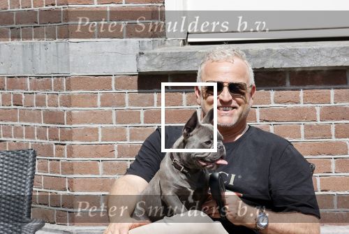 Amsterdam 12 mei 2021
Gordon met zijn hondje Toto op terras bij Blushing in Amsterdam .