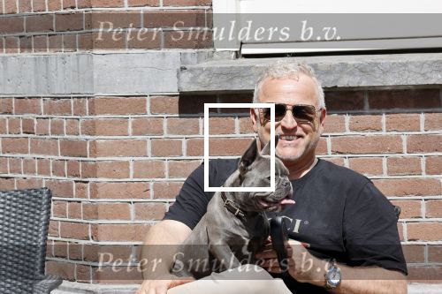Amsterdam 12 mei 2021
Gordon met zijn hondje Toto op terras bij Blushing in Amsterdam .