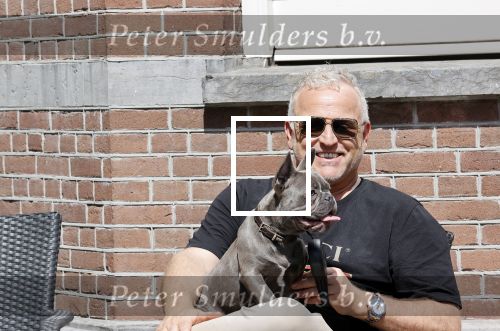 Amsterdam 12 mei 2021
Gordon met zijn hondje Toto op terras bij Blushing in Amsterdam .