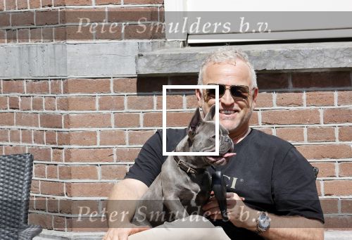 Amsterdam 12 mei 2021
Gordon met zijn hondje Toto op terras bij Blushing in Amsterdam .