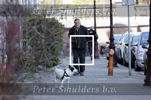 Amsterdam 15 april 2021
Hans v d Togt laat zijn hond uit.