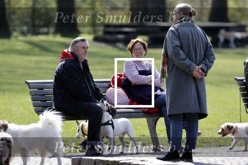 Amsterdam 16 april 2021
Hans v d Togt met vrienden en honden in het Beatrixpark