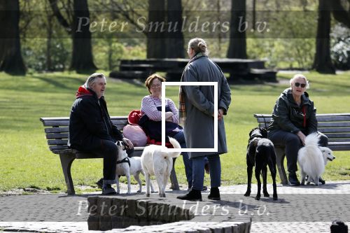 Amsterdam 16 april 2021
Hans v d Togt met vrienden en honden in het Beatrixpark