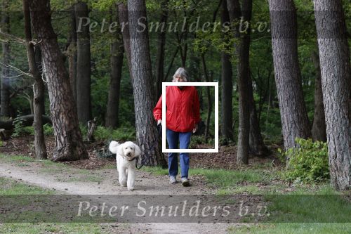 Rolde 19 mei 2021
Johan Derksen aan het wandelen met zijn hond in de boosen bij Rolde