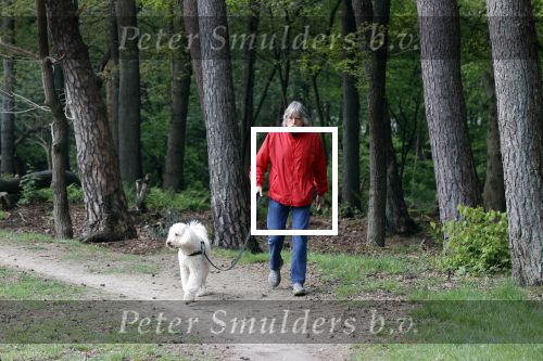 Rolde 19 mei 2021
Johan Derksen aan het wandelen met zijn hond in de boosen bij Rolde