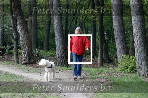 Rolde 19 mei 2021
Johan Derksen aan het wandelen met zijn hond in de boosen bij Rolde