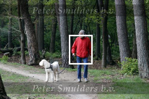 Rolde 19 mei 2021
Johan Derksen aan het wandelen met zijn hond in de boosen bij Rolde