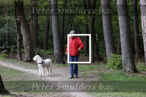 Rolde 19 mei 2021
Johan Derksen aan het wandelen met zijn hond in de boosen bij Rolde