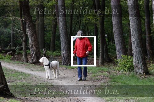 Rolde 19 mei 2021
Johan Derksen aan het wandelen met zijn hond in de boosen bij Rolde